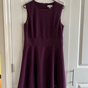 Calvin Klein Women's Purple Dress